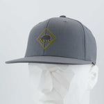 Tortoise Crossing Sign (Silicone) - Flexfit® Premium Fitted Cap Color: Dark Gray - Eternal Glyph LLC